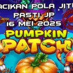 racikan pola jitu pumpkin patch 16 mei 2025