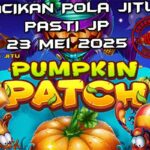 racikan pola jitu pumpkin patch 23 mei 2025
