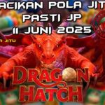 racikan pola jitu Dragon Hatch 11 juni 2025