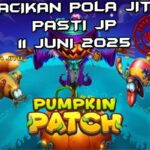 racikan pola jitu pumpkin patch 11 juni 2025