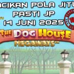 racikan pola jitu the dog house megaways 14 juni 2025