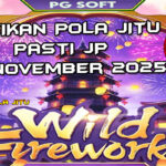 Kembang api liar Wild Fireworks gacor 26 November 2025