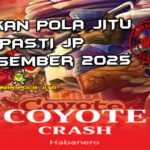 Coyote gurun Coyote Crash gacor 8 Desember 2025